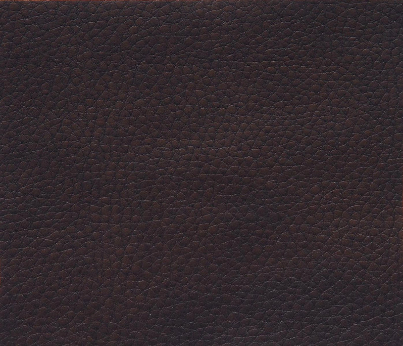 Aram Double Glider Reclining Sofa in Brown 8206BRW-3