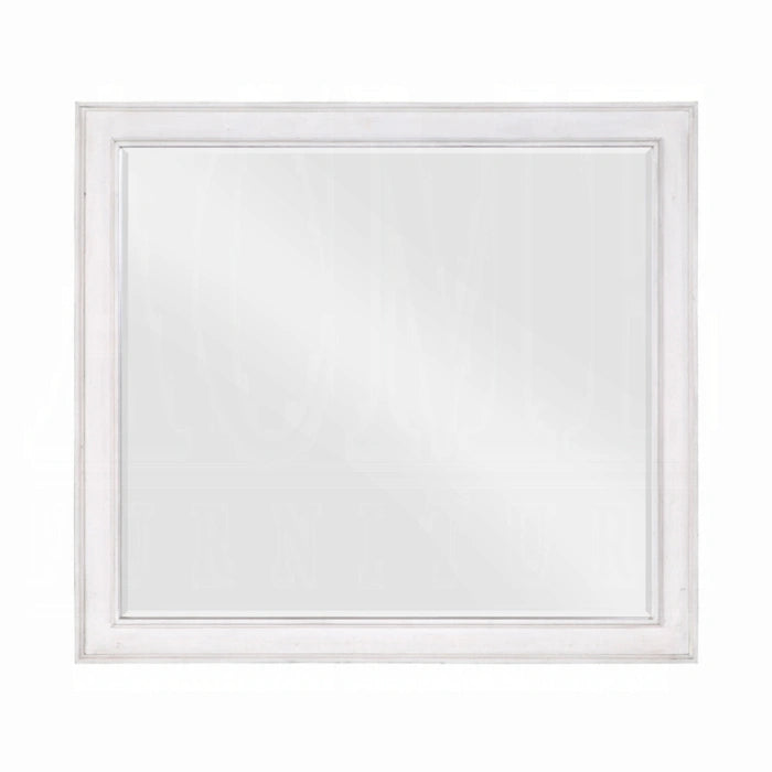 Katia Mirror