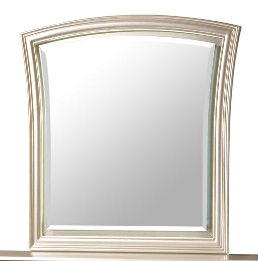 Faisal Transitional Style Mirror in Champagne finish Wood image