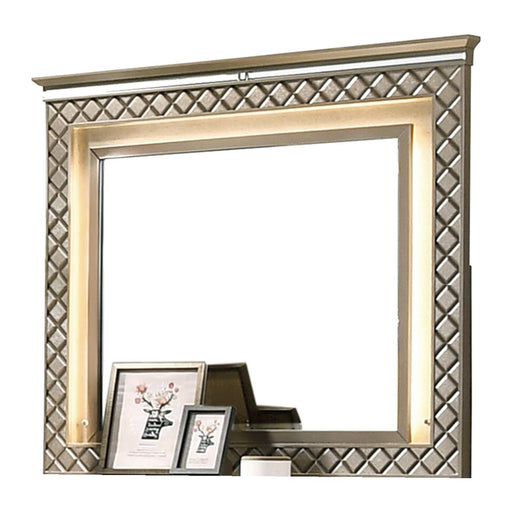 Coral Contemporary Style Mirror in Bronze finish Wood image
