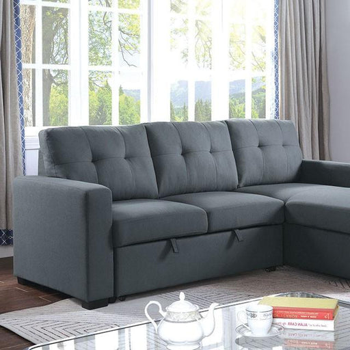 JACOB Sectional image