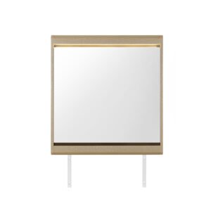 GENESIS GOLD MIRROR WITH LED